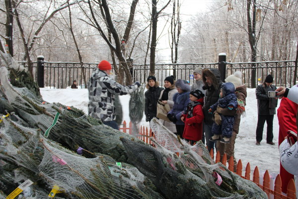  /></p><p>Один из первых пришедших участников акции получает елку из рук ведущего программы 
