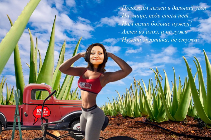 Олег_Ярославль_.jpg Олег_Ярославль_8-910-078-81-22.jpg