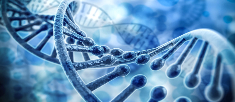 genetics.jpg genetics.jpg