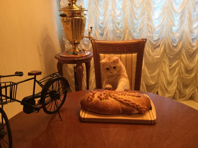 ЕленаНижнийНовгород79051927105.jpg ЕленаНижнийНовгород79051927105.jpg
