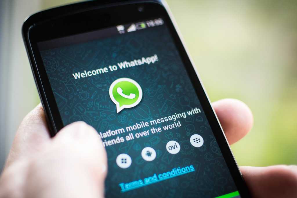Whatsapp.jpeg Whatsapp.jpeg