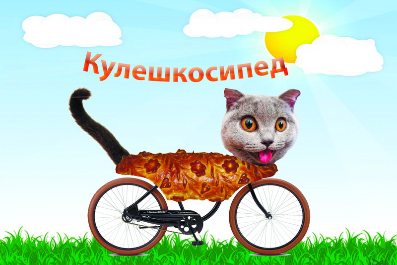 ВасилинаБарнаул89059287069.jpg ВасилинаБарнаул89059287069.jpg