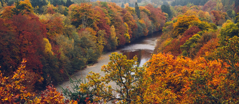 autumn.jpg autumn.jpg