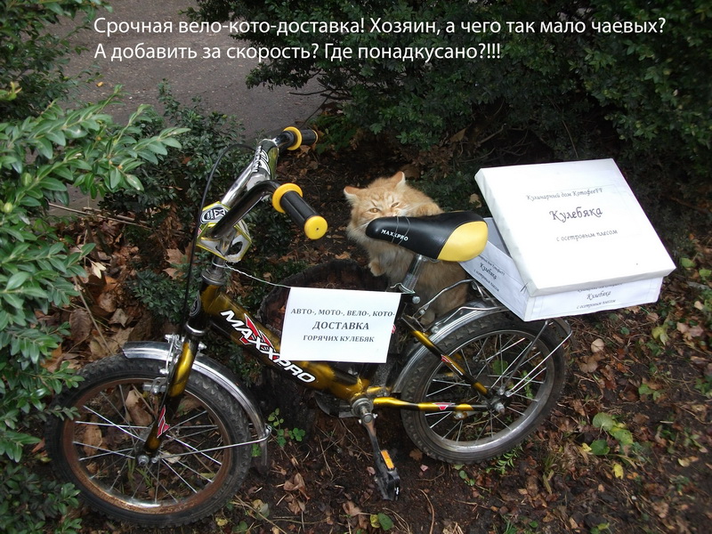 ТатьянаПятигорск79283616617.jpg ТатьянаПятигорск79283616617.jpg