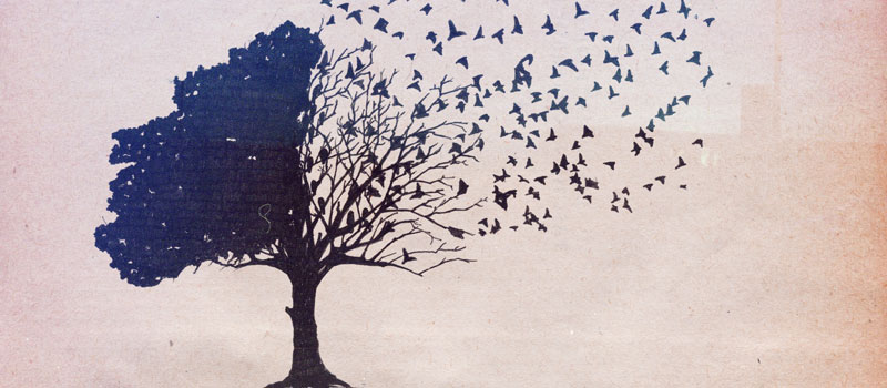 tree.jpg tree.jpg