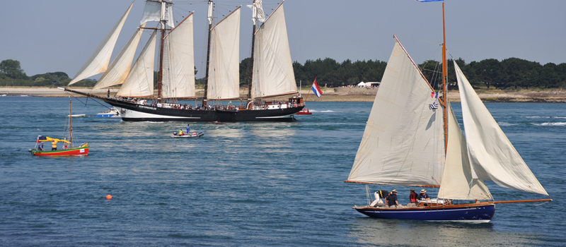 regatta.jpg regatta.jpg