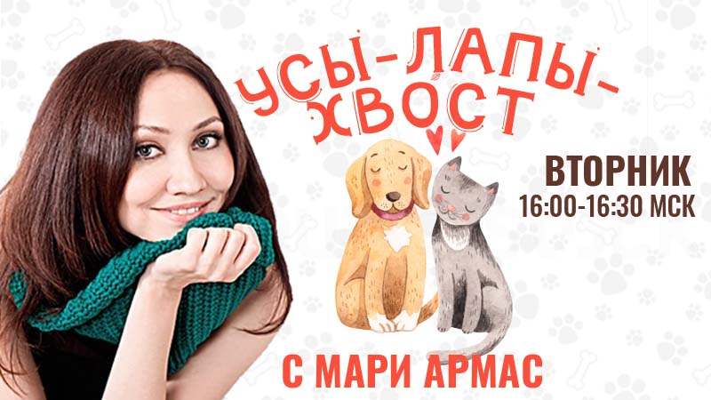 Усы-лапы-хвост