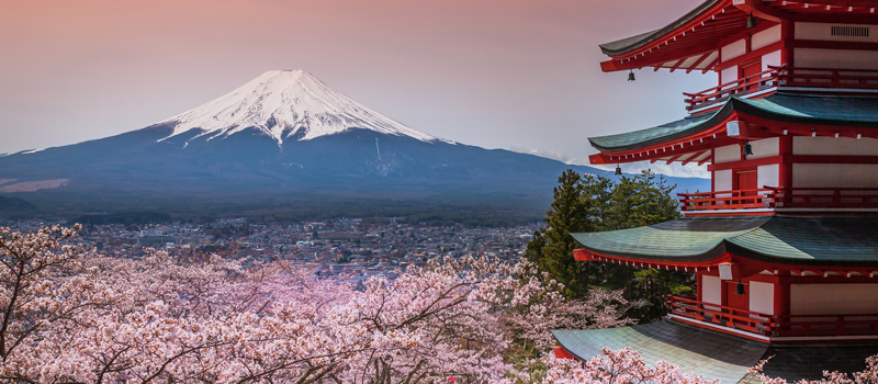 japan800.jpg japan800.jpg