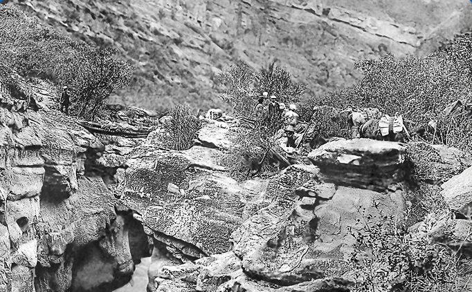 407539_7_i_029.jpg 407539_7_i_029.jpg