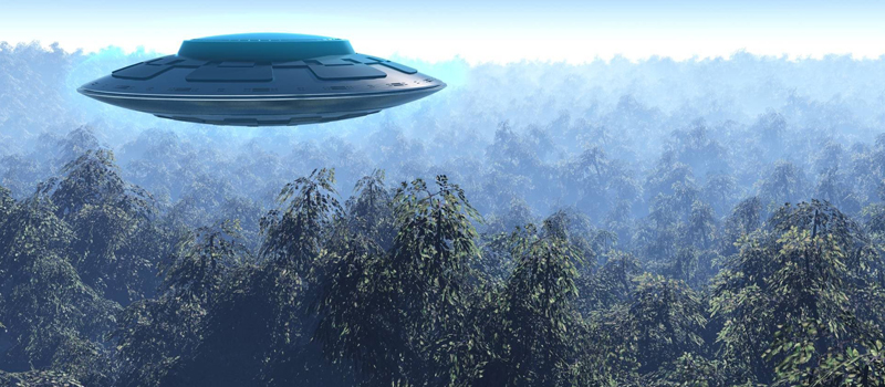 ufo.jpg ufo.jpg