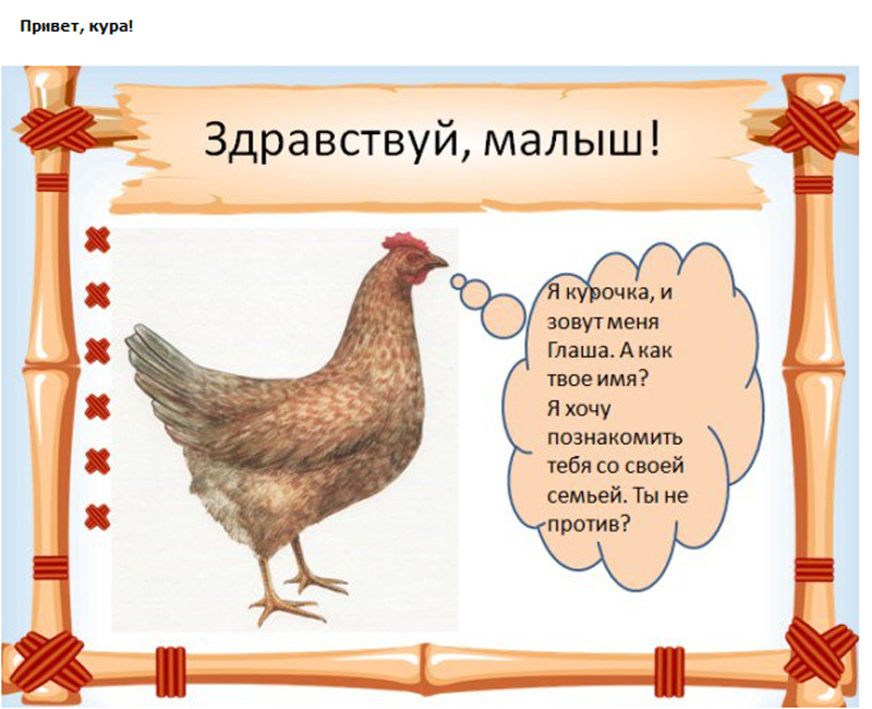 Картинка привет курица