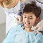 В Японии собаки помогают детям не бояться стоматологов. Чем опасны разговоры с ChatGPT?