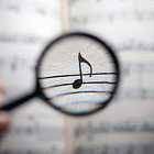 В Чечне ввели ограничения на быструю и медленную музыку. Предсказания Илона Маска