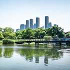 О нападении на губернатора Чибиса. Паводки. В Нью-Йорке произошло землетрясение