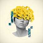 CAKE, George Bloomfield, Thomas Mudrick