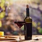 Владислав Маркин о том, как начать понимать вино