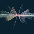 Episode 336: Justice & Miguel, Diogo Strausz, Tourist