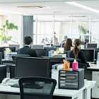 Правда ли, что комнатные цветы очищают воздух в помещении