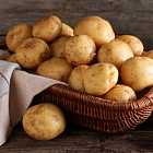 Найден потерянный рассказ Брэма Стокера. Картошка сорта Вайлдберриз. Беседы о вреде квадробинга