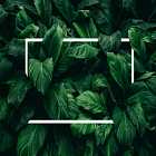 В гостях: Дима Егоров aka Габонская Гадюка. История хип-хоп культуры 80-х и 90-х