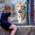 Когда идти в Зоопарк? Тестируем утренние сеансы вместе с детьми