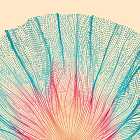 Episode 317: Reuben Vaun Smith, Sofia Kourtesis, Caius