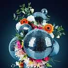 Музыка и волшебные голоса талантливых женщин