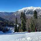 Выпуск №287: Dawn Again, Dina Ogon, DJ Nature