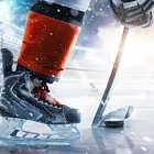 Овечкин побил рекорд Гретцки по голам. На пляжах Анапы обнаружены новые выбросы мазута