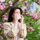 Смена характера аллергии в связи с изменением климата. Проявления и разновидности аллергии