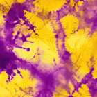 В этом выпуске Melody P.M. новый альбом Тима Аминова «Животное»