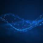 Episode 329: high jump, Jantoje, Tentendo & Taj Ralph