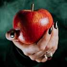 Пушкинская «Мертвая царевна» против иностранной «Белоснежки». Или кто у кого списал