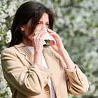 Врач иммунолог-аллерголог о бытовых аллергенах, перекрещивании и сенной лихорадке