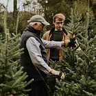 Китайские учёные создали «Звезду смерти». Елки в этом году подорожают еще сильнее