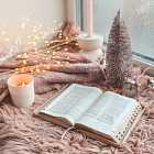 Книжные новинки: «Девушка со снежным сердцем», «Дорогой Санта», «Мозг, еда и новизна»