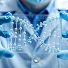 Генетическое редактирование: загрузка компьютера в мозг, генная структура человека, ограничения