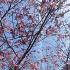 Выпуск №292: Low Tape, DJ Cam, Aki Takase Trio