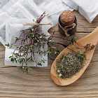 В гостях Ярослав Павлов, руководитель компании «Правильные травы»