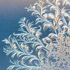 Исследователь фольклора Ульяна Нижинская о зимних сказках и их корнях