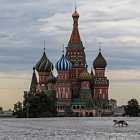 Сериал «Тайны Карениной», стендап-экскурсии, лекция «Чувственные портреты Амедео Модильяни»