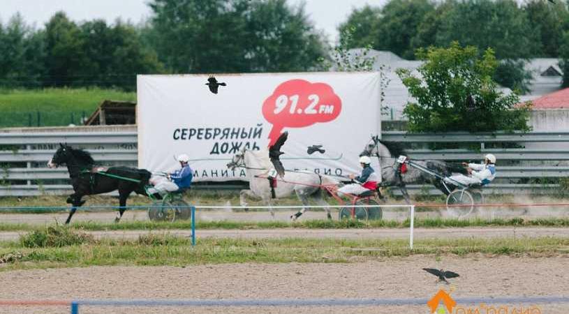 "Скачки фаворитов" под Серебряным Дождем!