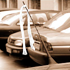 История Серебряного Дождя: история акции «Белые ленточки»