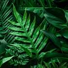 Vibe TGK и Jahmal TGK на Серебряном Дожде