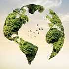 Учредитель экологического фонда «Гражданин» о борьбе с обледенением с экологической точки зрения