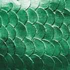 Почему у Пушкина «русалка на ветвях сидит»