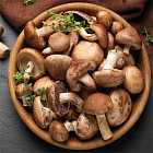 Весенние грибы: где искать и что с ними делать? Дмитрий Тихомиров – ведущий программы «Какого лешего!»