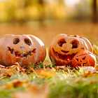 Подготовка столичных заведений к Хэллоуину. Выставка тыкв. День народного единства