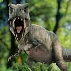 Откуда мы знаем, как выглядели динозавры