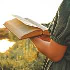 Книжные новинки августа: «Саттри», «СНТ», «Это точно не подделка»